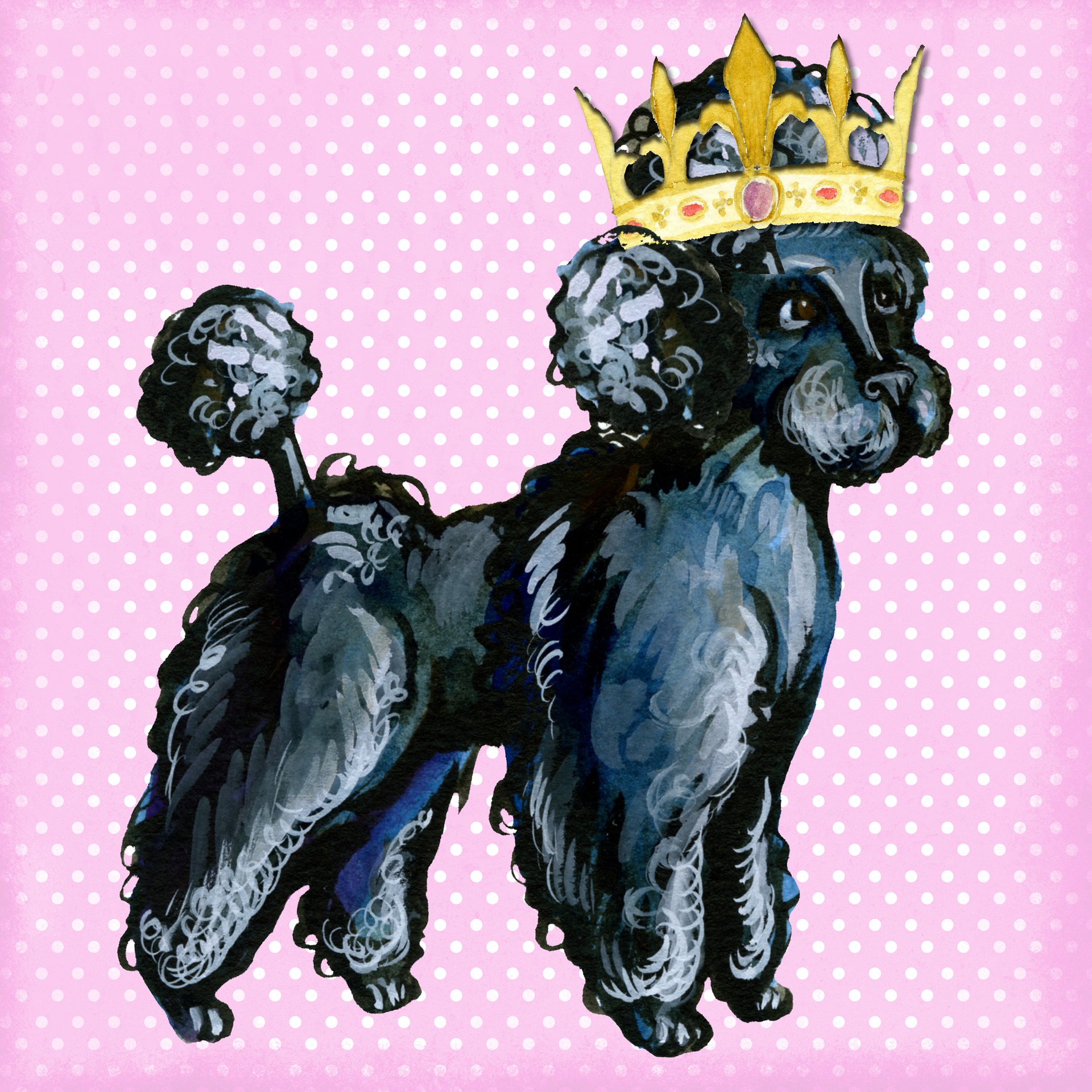 Черный пудель рыжий. Собачья корона. Пудель с короной. Собака в короне. Собака с короной на голове.
